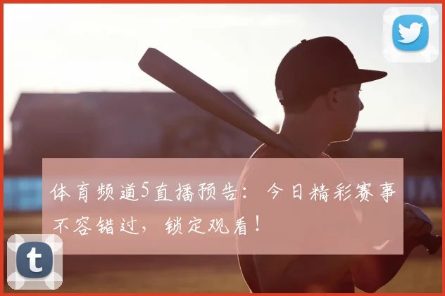 体育频道5直播预告:今日精彩赛事不容错过,锁定观看!